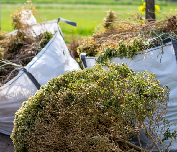 Enlèvement déchets verts Maubeuge