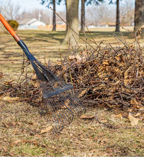 Évacuation déchets verts Landricies