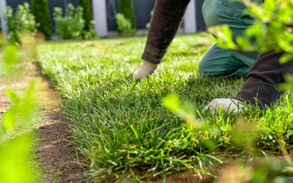 Service Jardinage à Maubeuge