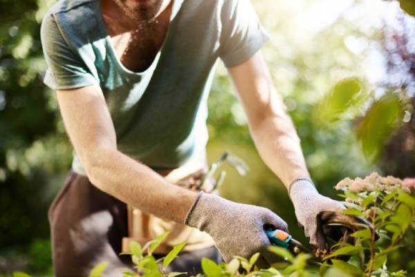 Solutions écologiques pour jardin Landrecies