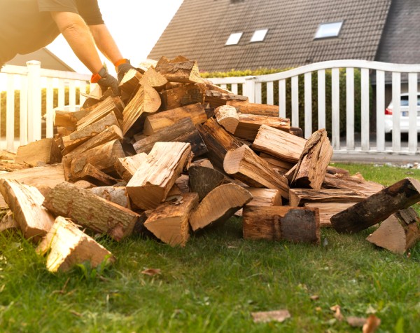 Vente de bois Solesmes