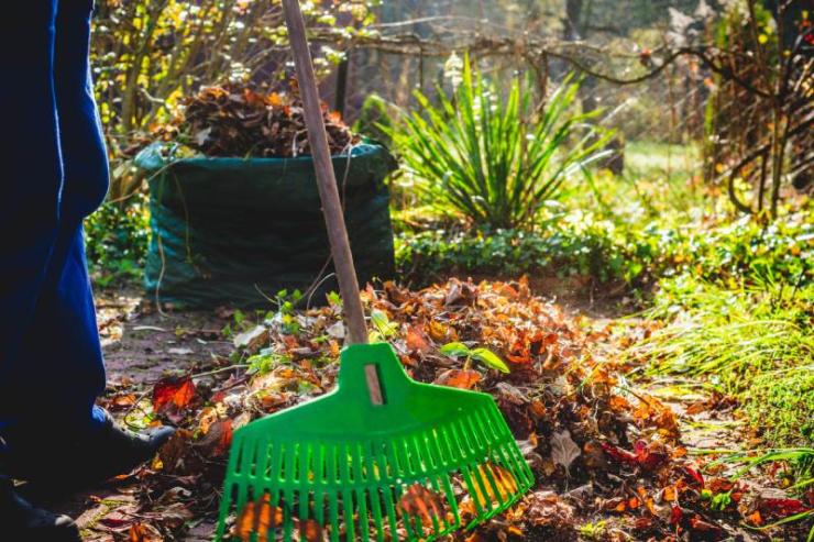 Entretien de jardin Maubeuge